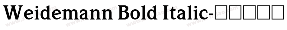 Weidemann Bold Italic字体转换